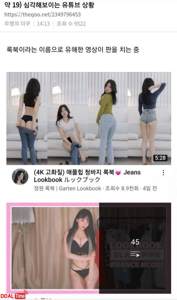 여초에 올라온 심각해 보이는 유튜브 룩북 상황 이미지 #1